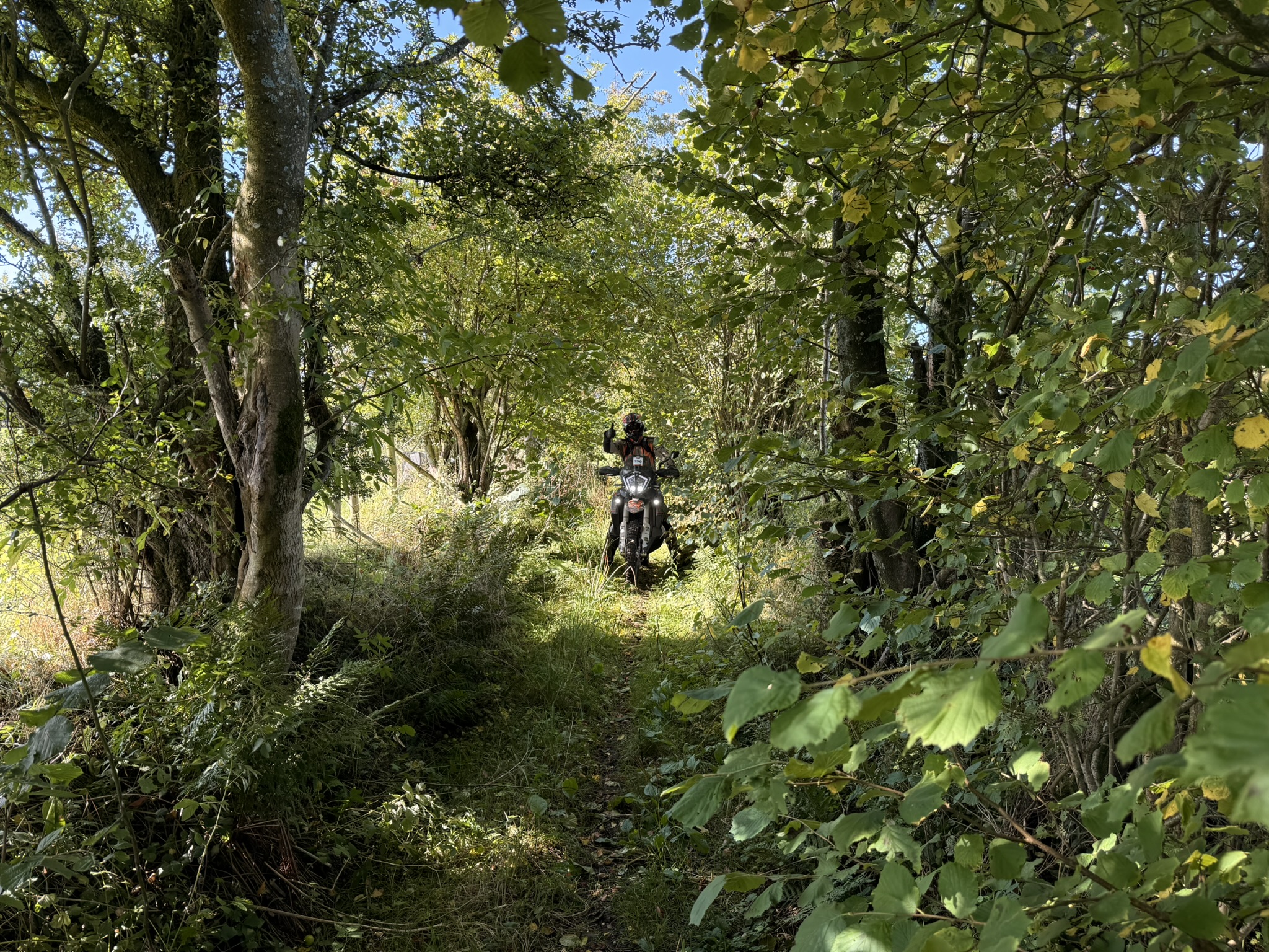 reise-lake-district 1
