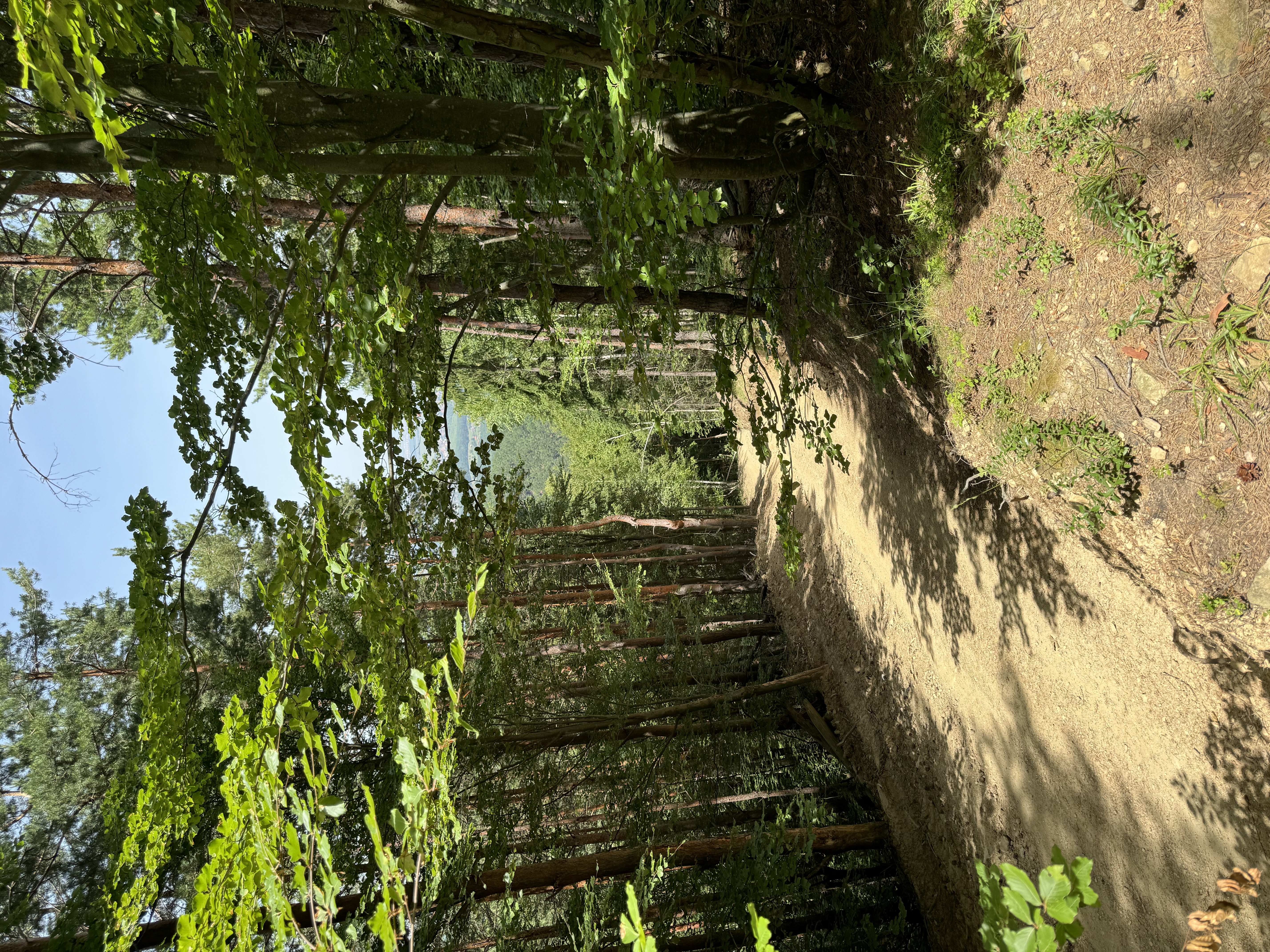 Rumänien 7