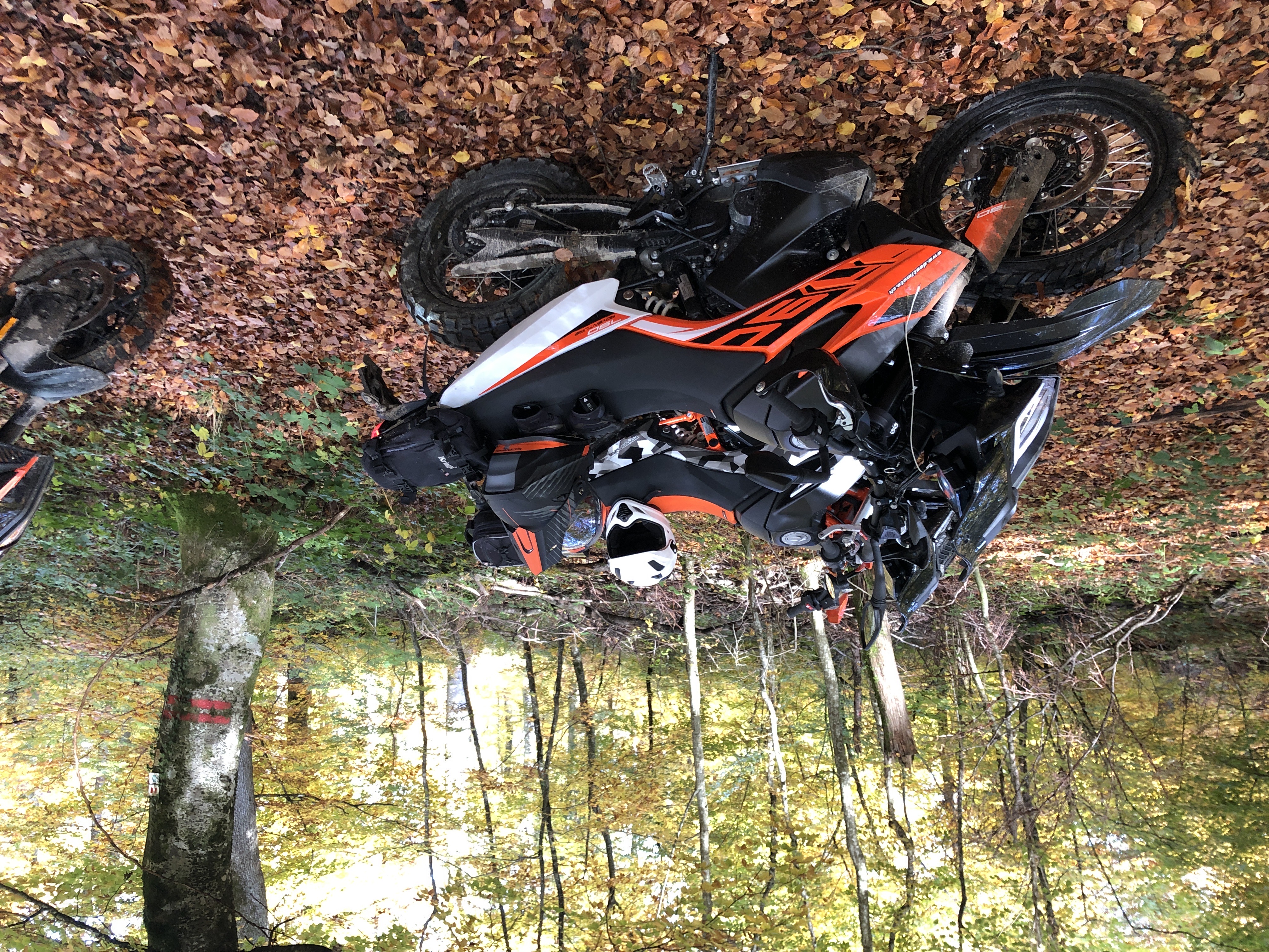 Erste Offroad-Erfahrung im Elsass mit Bär Enduro