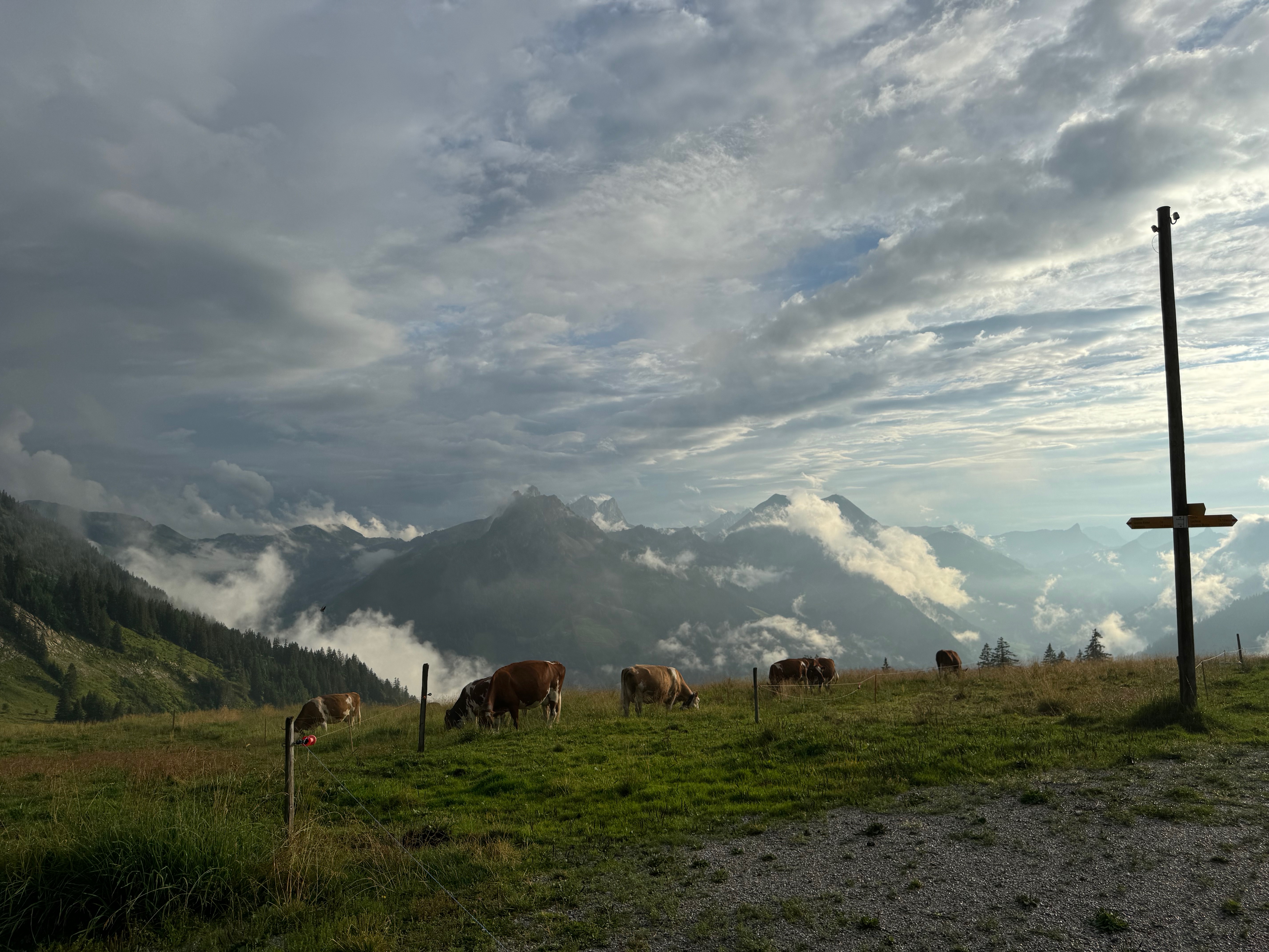 Ein abenteuerlicher Tag auf der neuen TET-Route CH: Jura bis Genfersee